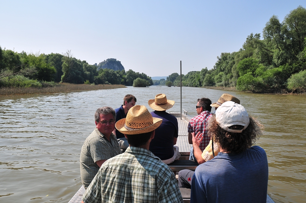 Befahrung der Maßnahmen im Mündungsbereich bei March Fluss-km 1,0 mit Blick auf die Burg Theben